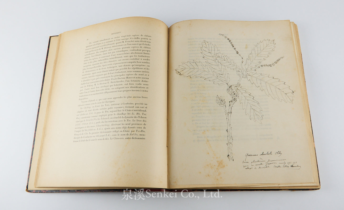 Fauvel, Albert A. — [Author’s Copy] Les séricigènes sauvages de la Chine, with Original Drawings, Watercolors, Silkworm, Cocoon, and Silk Specimens, and Authorial Additions
