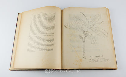 Fauvel, Albert A. — [Author’s Copy] Les séricigènes sauvages de la Chine, with Original Drawings, Watercolors, Silkworm, Cocoon, and Silk Specimens, and Authorial Additions