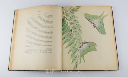 Fauvel, Albert A. — [Author’s Copy] Les séricigènes sauvages de la Chine, with Original Drawings, Watercolors, Silkworm, Cocoon, and Silk Specimens, and Authorial Additions