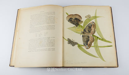 Fauvel, Albert A. — [Author’s Copy] Les séricigènes sauvages de la Chine, with Original Drawings, Watercolors, Silkworm, Cocoon, and Silk Specimens, and Authorial Additions