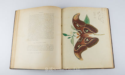 Fauvel, Albert A. — [Author’s Copy] Les séricigènes sauvages de la Chine, with Original Drawings, Watercolors, Silkworm, Cocoon, and Silk Specimens, and Authorial Additions