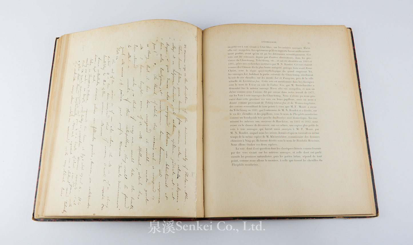 Fauvel, Albert A. — [Author’s Copy] Les séricigènes sauvages de la Chine, with Original Drawings, Watercolors, Silkworm, Cocoon, and Silk Specimens, and Authorial Additions