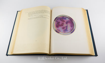 大維德爵士所藏中國陶瓷圖錄 A Catalogue of Chinese Pottery and Porcelain in the Collection of Sir Percival David. London: The Stourton Press, 1934.