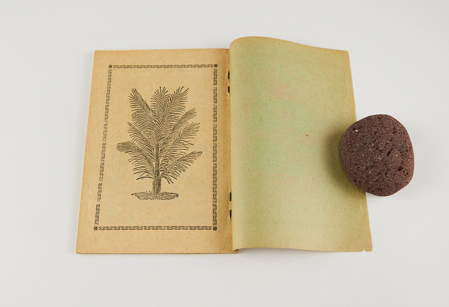 Nadokuse 彝文教理問答 [Catholic Catechism in Yi script] the earliest known book printed in the Yi script with movable metal type, Hong Kong, 1909