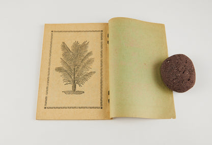 Nadokuse 彝文教理問答 [Catholic Catechism in Yi script] the earliest known book printed in the Yi script with movable metal type, Hong Kong, 1909